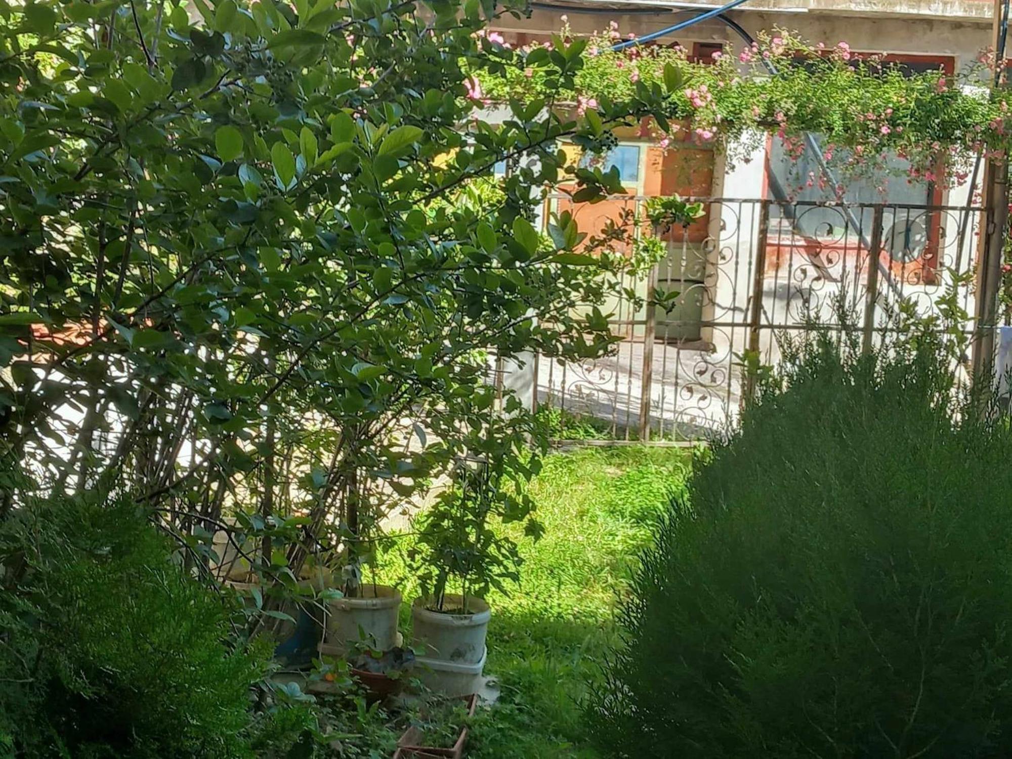 Apartman Turkana 1 SJJ Eksteriør bilde